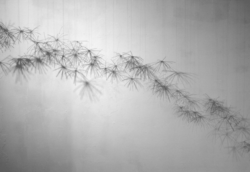RODANTE_INSTALACION